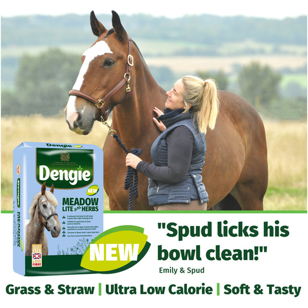 Dengie Meadow Lite with Herbs Review