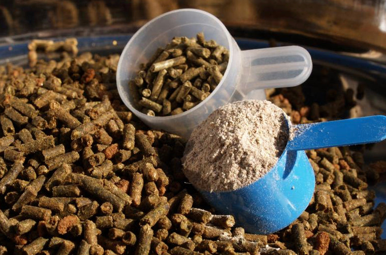 Horse Feed Supplements