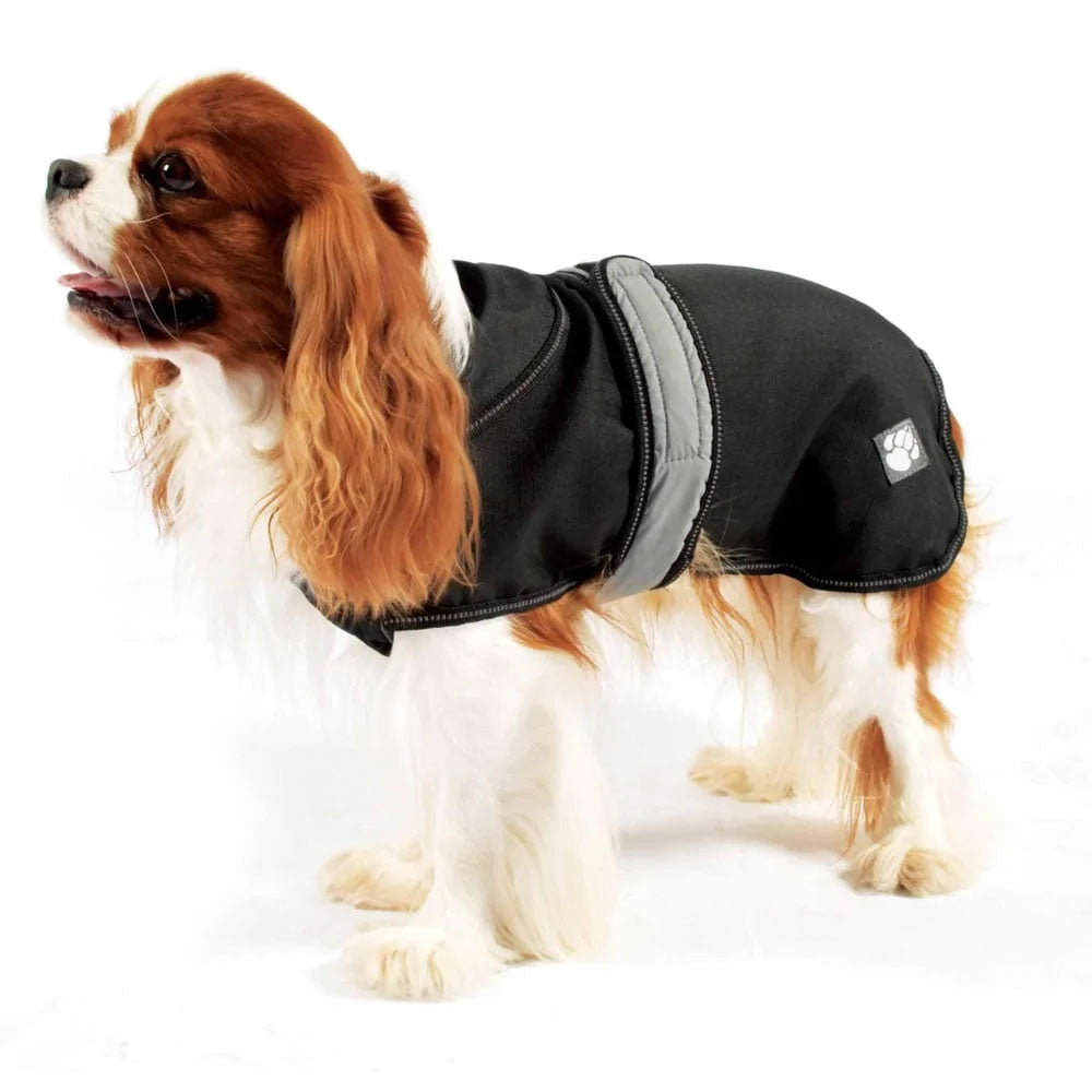 Dog wearing Danish Design's coat