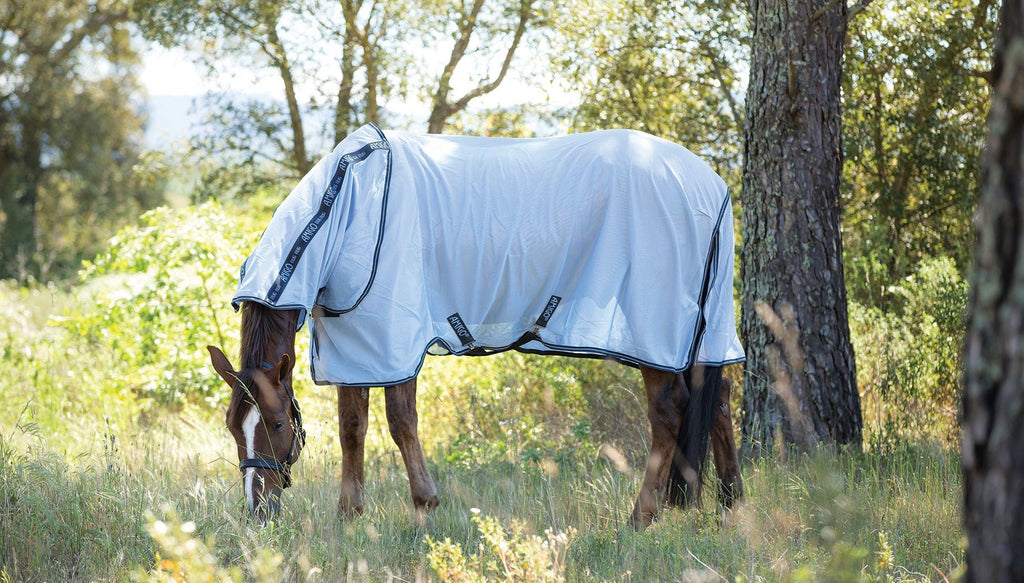 Fly Rugs for Horses