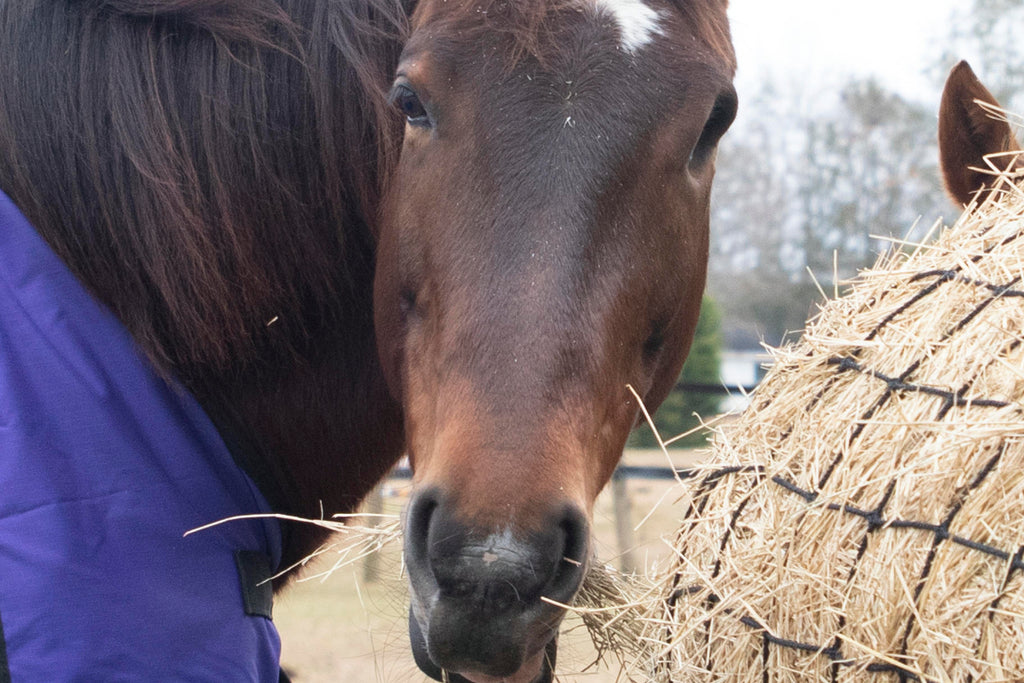 Haynets & Haylage Nets