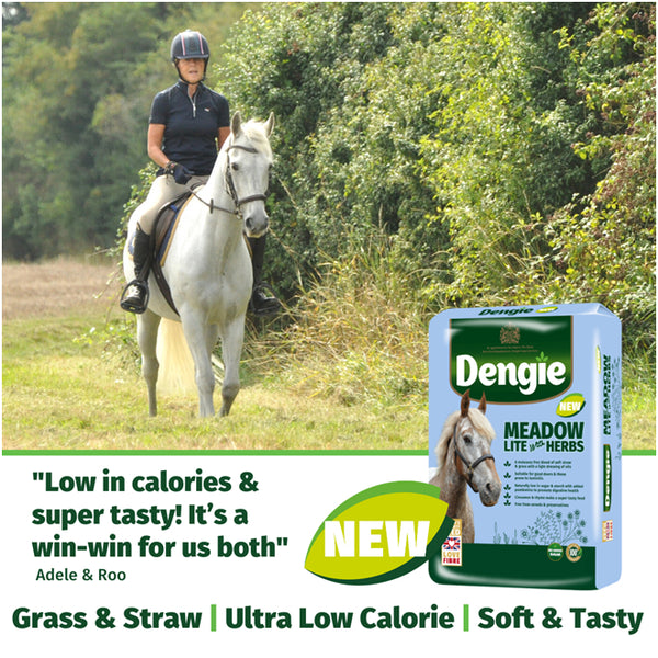 Dengie Meadow Lite with Herbs review Roo