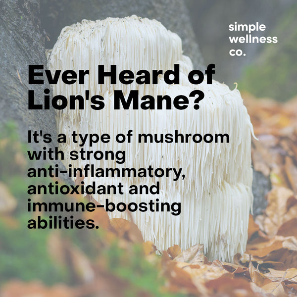 What is Lion's Mane by the simple company