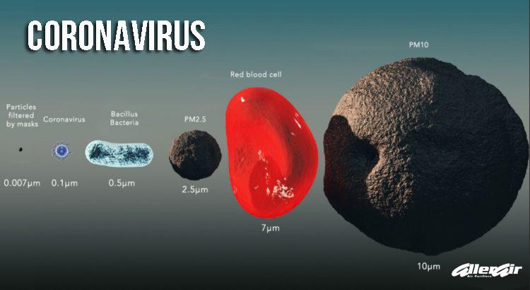 corona virus