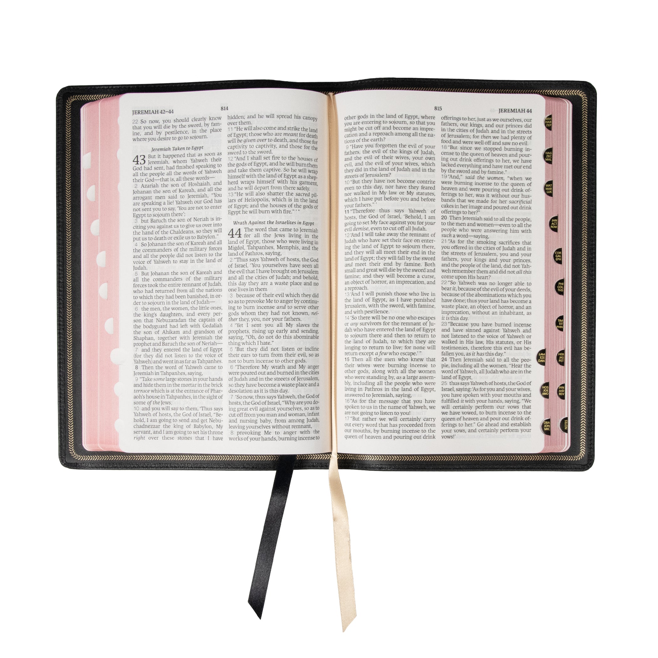 Legacy Standard Bible, 2 Column VersebyVerse EdgeLined Goatskin