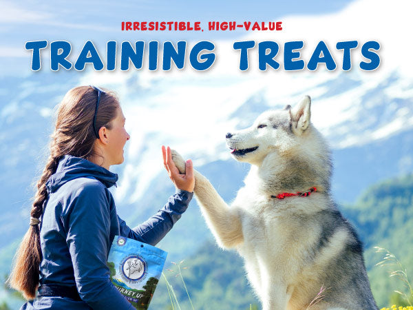 HappyTails Canine Wellness Journey Up natural Dog Jerky treats made in USA immune digestive skin coat healthy aging dog training treats