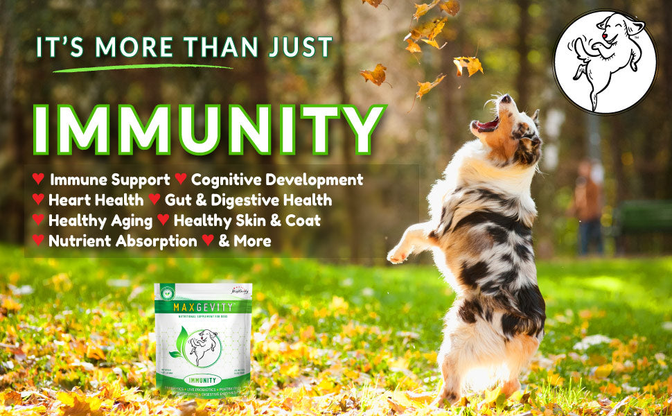 HappyTails-Canine-Wellness-Maxgevity-Immunity-nutritional-supplements-for-dogs-natural-healthy-made-in-USA-immune-digestive-skin-coat-health