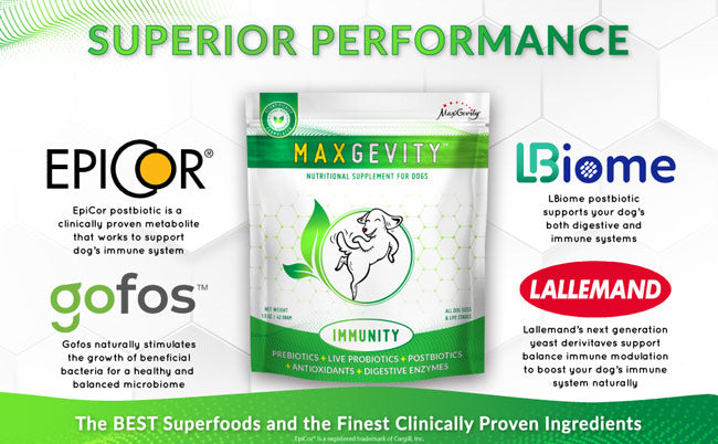 HappyTails-Canine-Wellness-Maxgevity-Immunity-nutritional-supplements-for-dogs-natural-healthy-made-in-USA-immune-digestive-skin-coat-health-superfood-and-ingredients