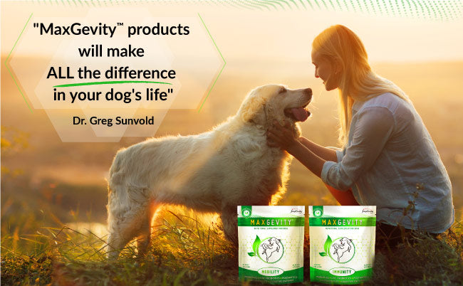 HappyTails-Canine-Wellness-Maxgevity-Mobility-Immunity-nutritional-supplements-for-dogs-natural-healthy-made-in-USA-immune-digestive-skin-coat-health-dr-greg-sunvold