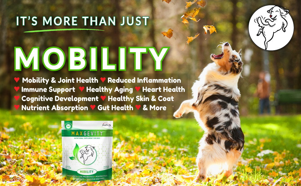 HappyTails-Canine-Wellness-Maxgevity-Mobility-nutritional-supplements-for-dogs-natural-healthy-made-in-USA-immune-digestive-skin-coat-health