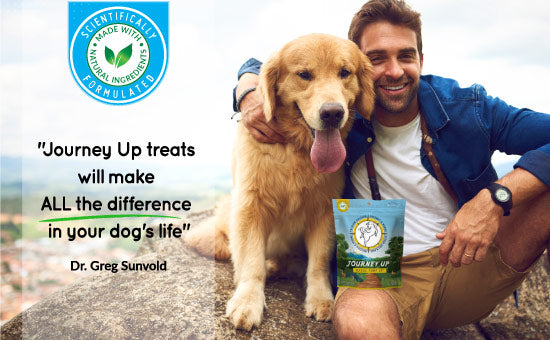 Journey Up HappyTails Canine Wellness premium dog treats with fruits and berries made in USA natural ingredients immune digestive support web will make all the difference