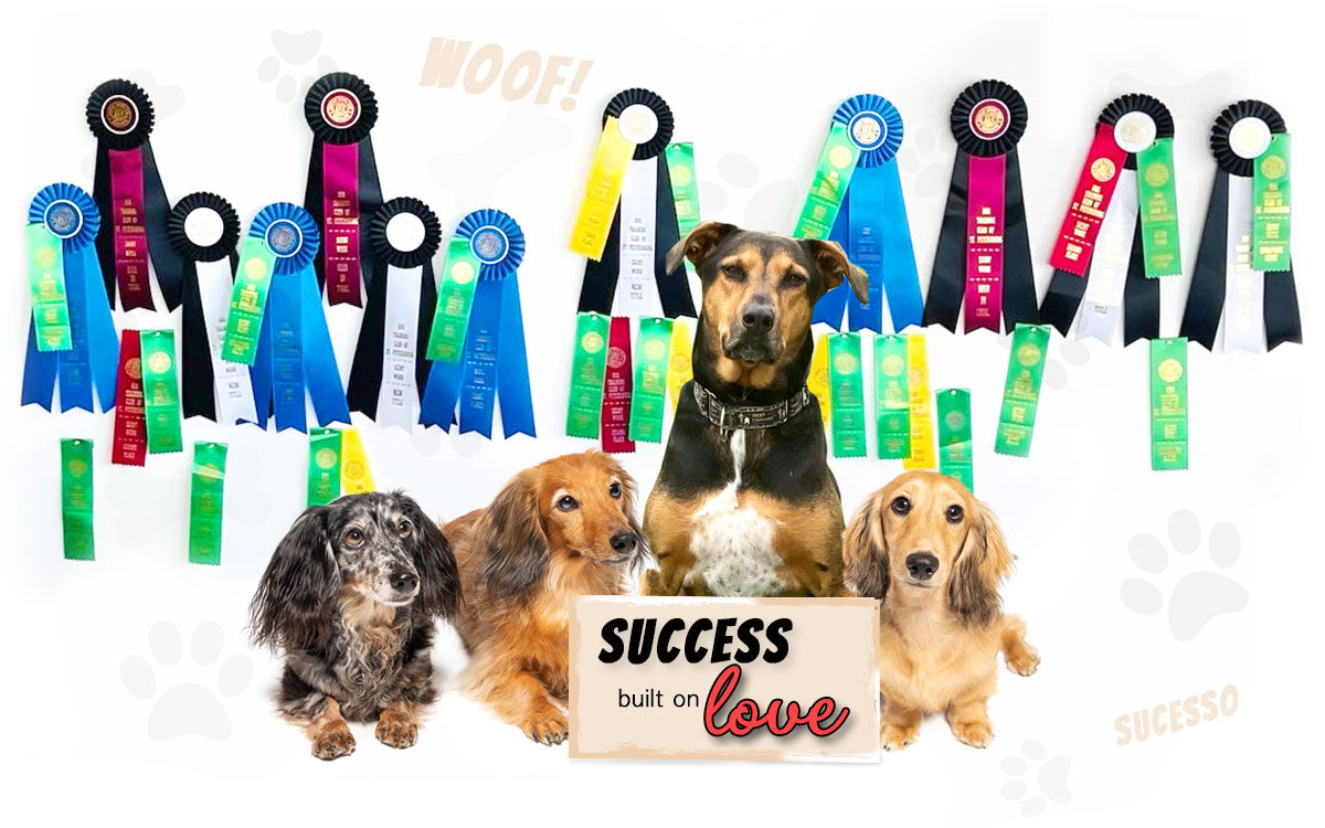 happytails-international-dogs-medals