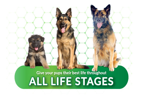 happytails-maxgevity-nutritional-supplements-for-all-life-stages