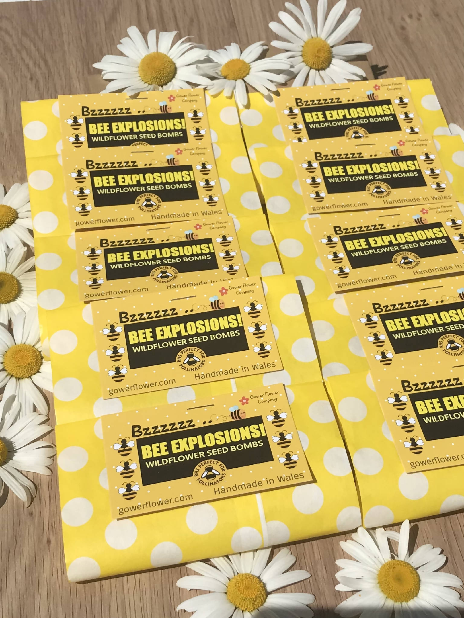 LUSH: Wildflower Seed Bomb Party!