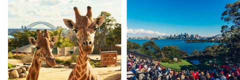 Taronga Zoo Sydney Easter long weekend activities 