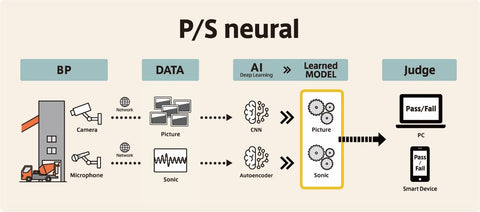 P/S neural概念図