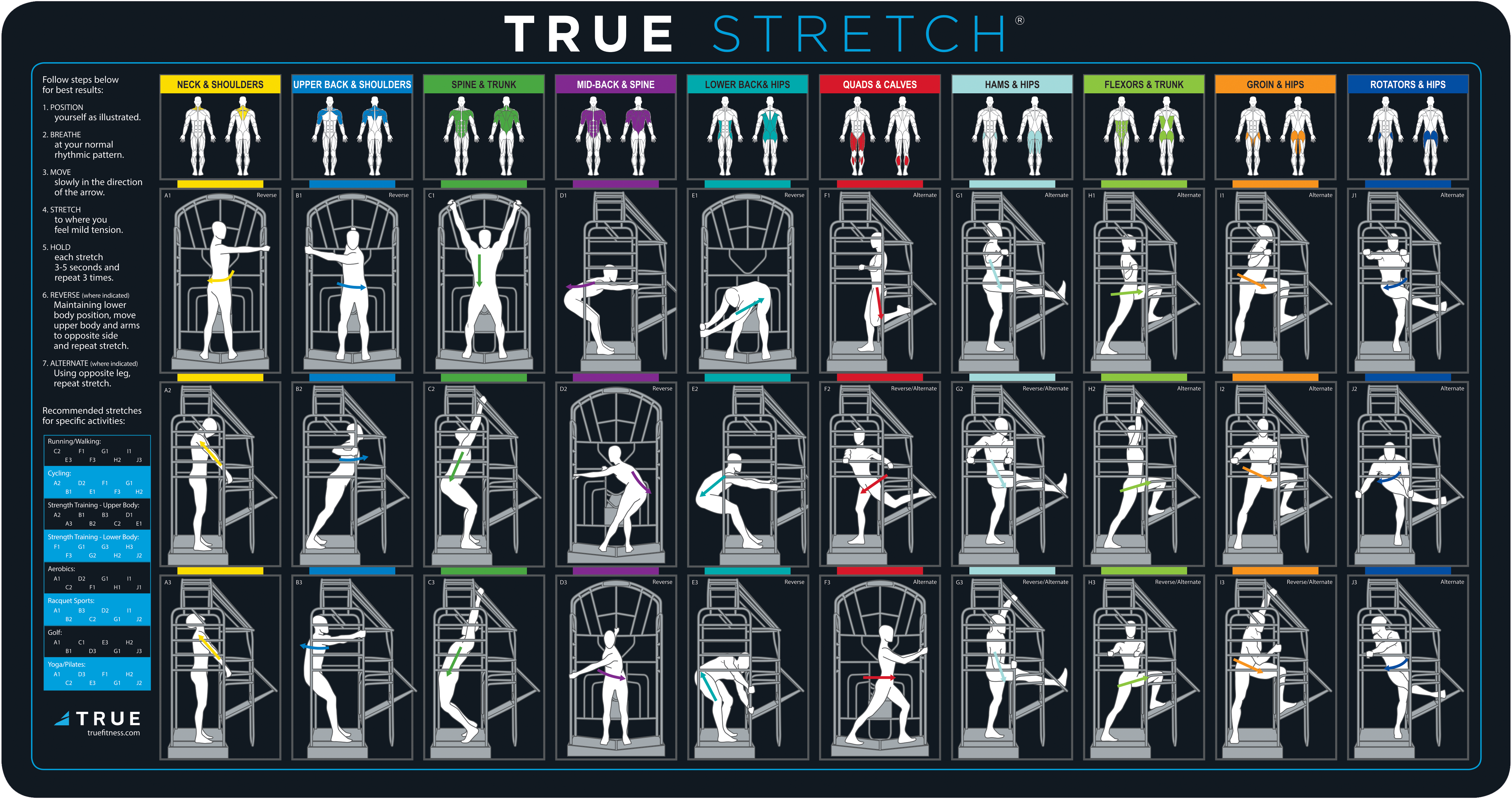 True stretched. STRUTCH true Kitma.