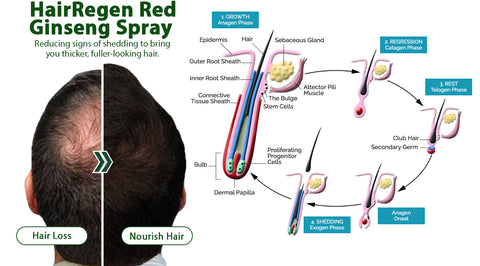 HairRegen RedGinseng Spray