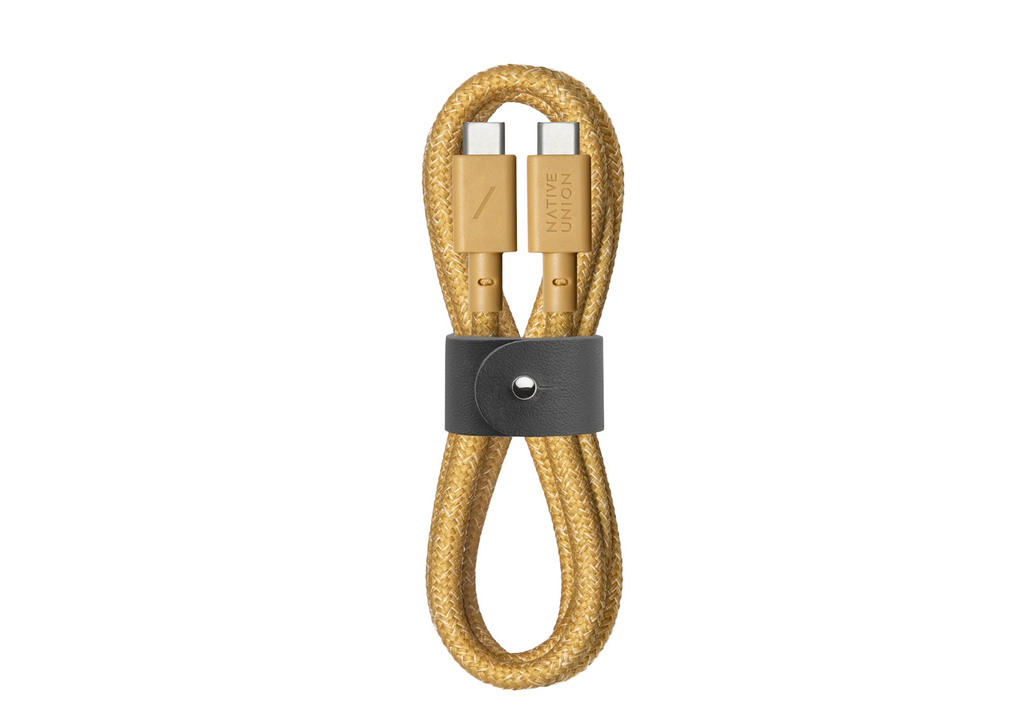 Belt Cable Pro 100W (USB-C to USB-C)