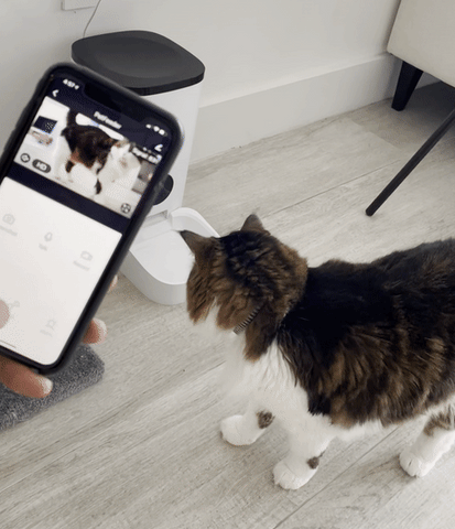 feed pet remotely with live video