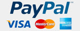 paypal payment