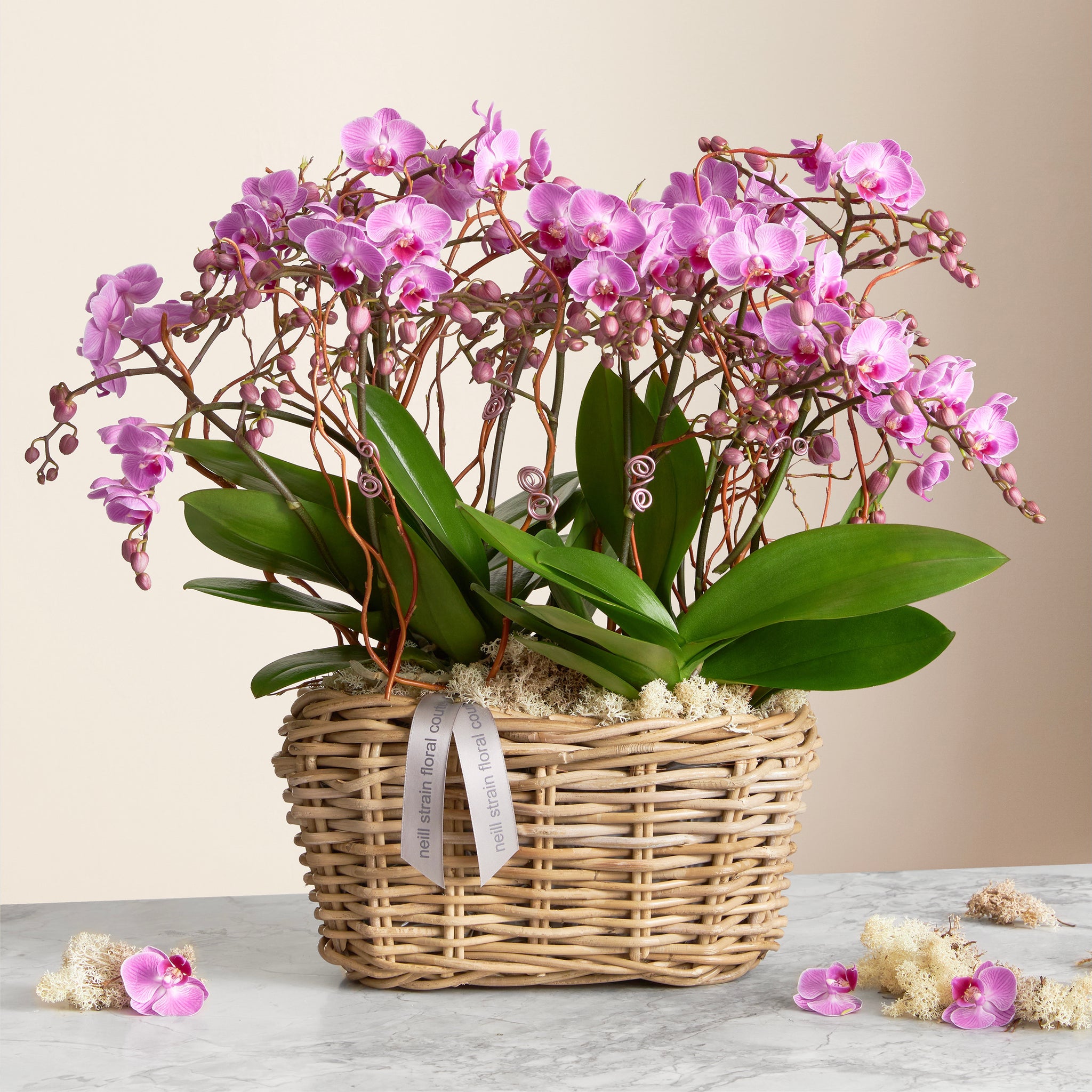 Neill Strain Floral Couture Mother's Day Orchids London