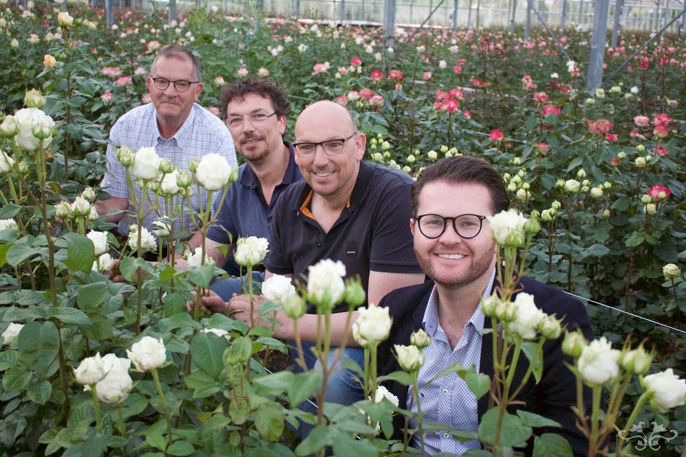 Neill Strain with Marc and Ed Sassen and Loek Van Eeden amidst the Belgravia Roses at the VIP glasshouse