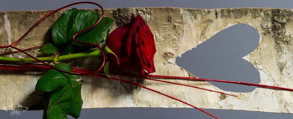 80 cm stem of Red Naormi Rose with wired heart and cut-out heart of rustic Birch bark.