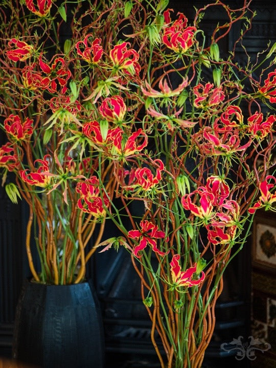 Gloriosa design in black cut glass vases in harmony with the Victorian black slate fireplace