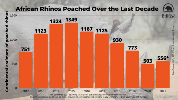 african rhinos pached over the last decade