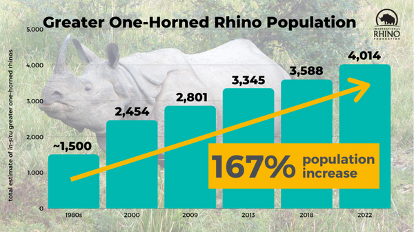 Greater one-horned rhino population