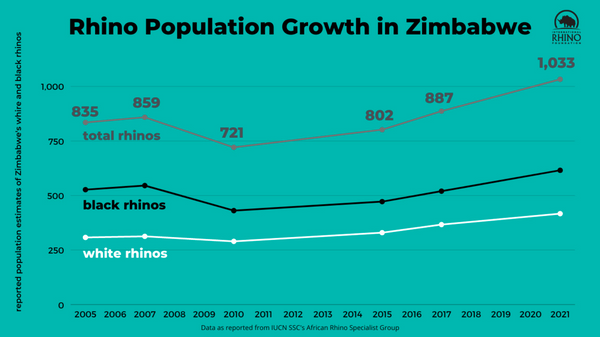 rhino poulation growth in Zimbabwe