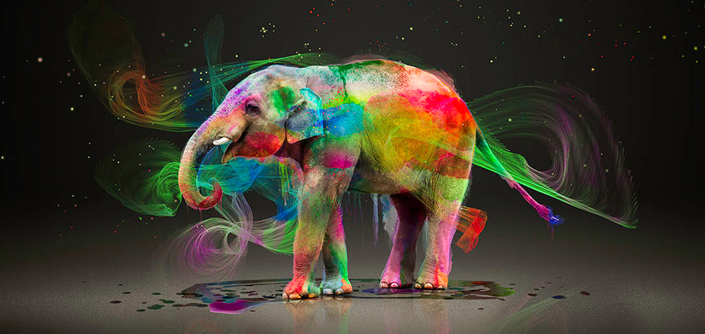 Elephant playing with paint