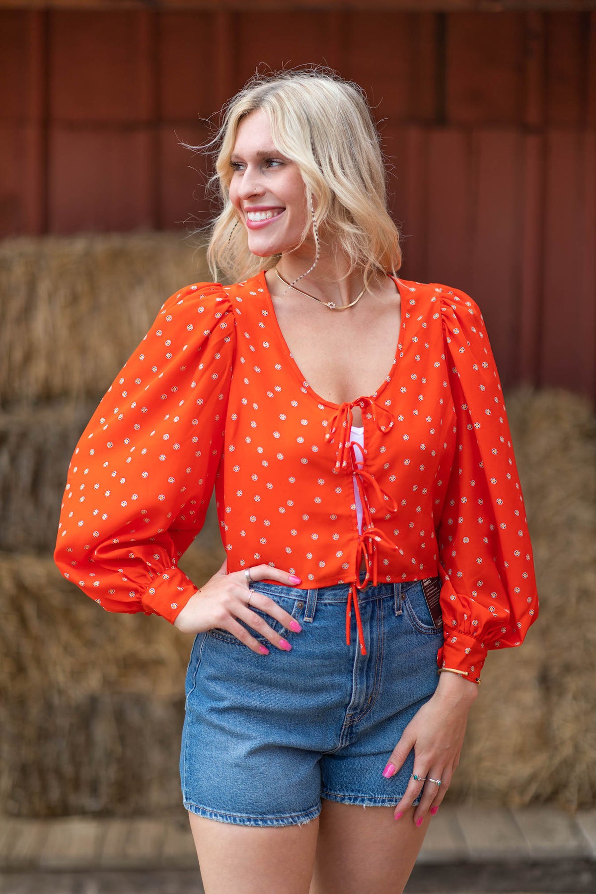 Fawn Tie Blouse — Wooden Nickel
