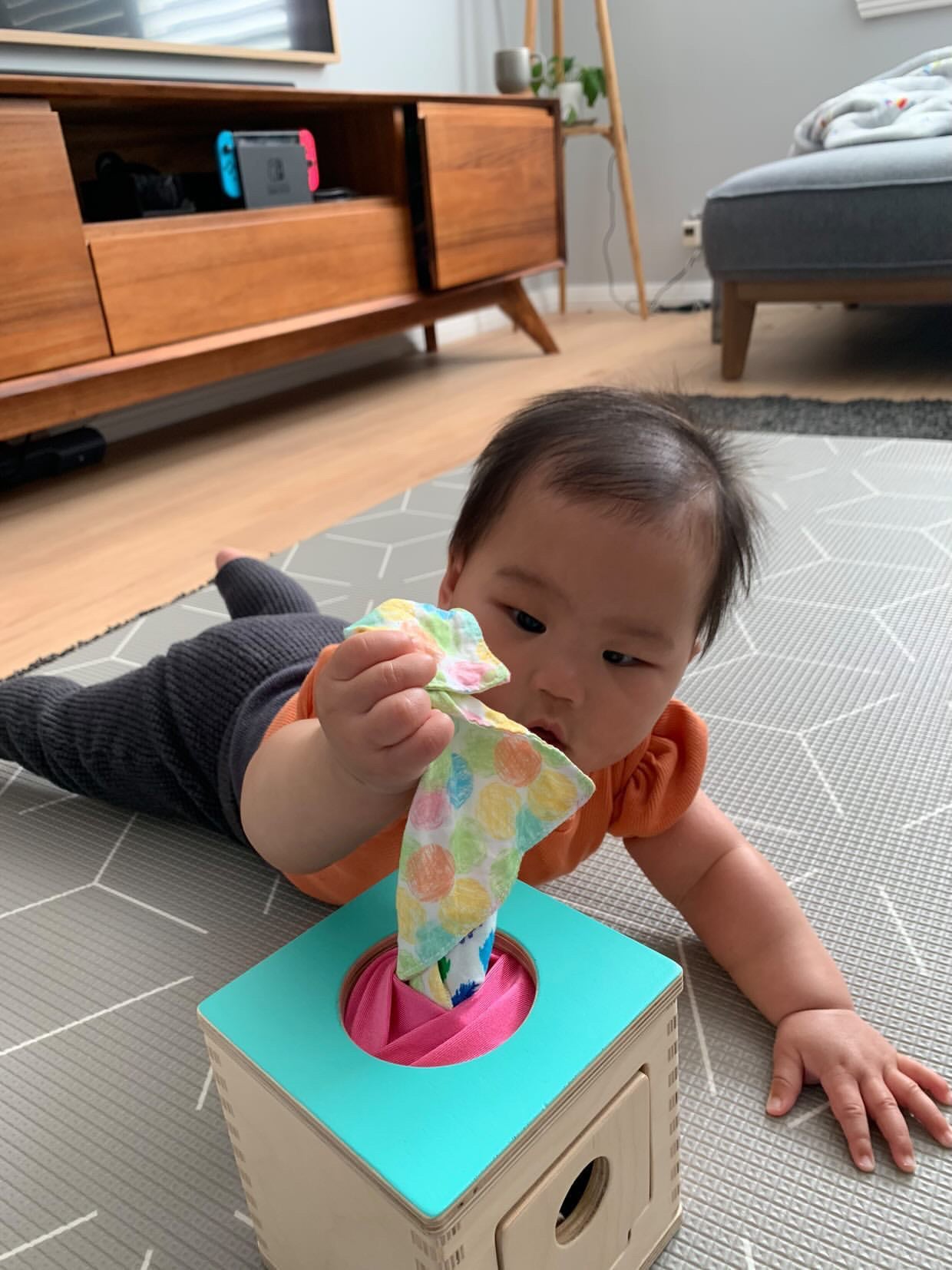 infant tissue box toy