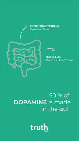 Text image stating that 50% of dopamine is made in the gut. 