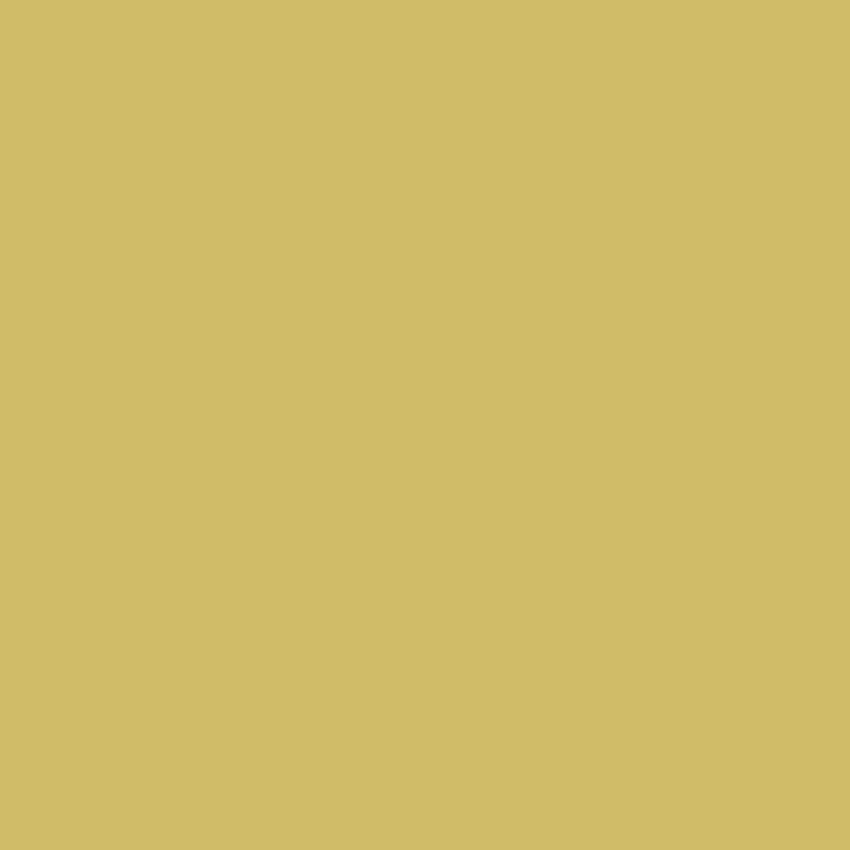 Download 377 Mustard Field - Paint Color | Magnolia Paint Company