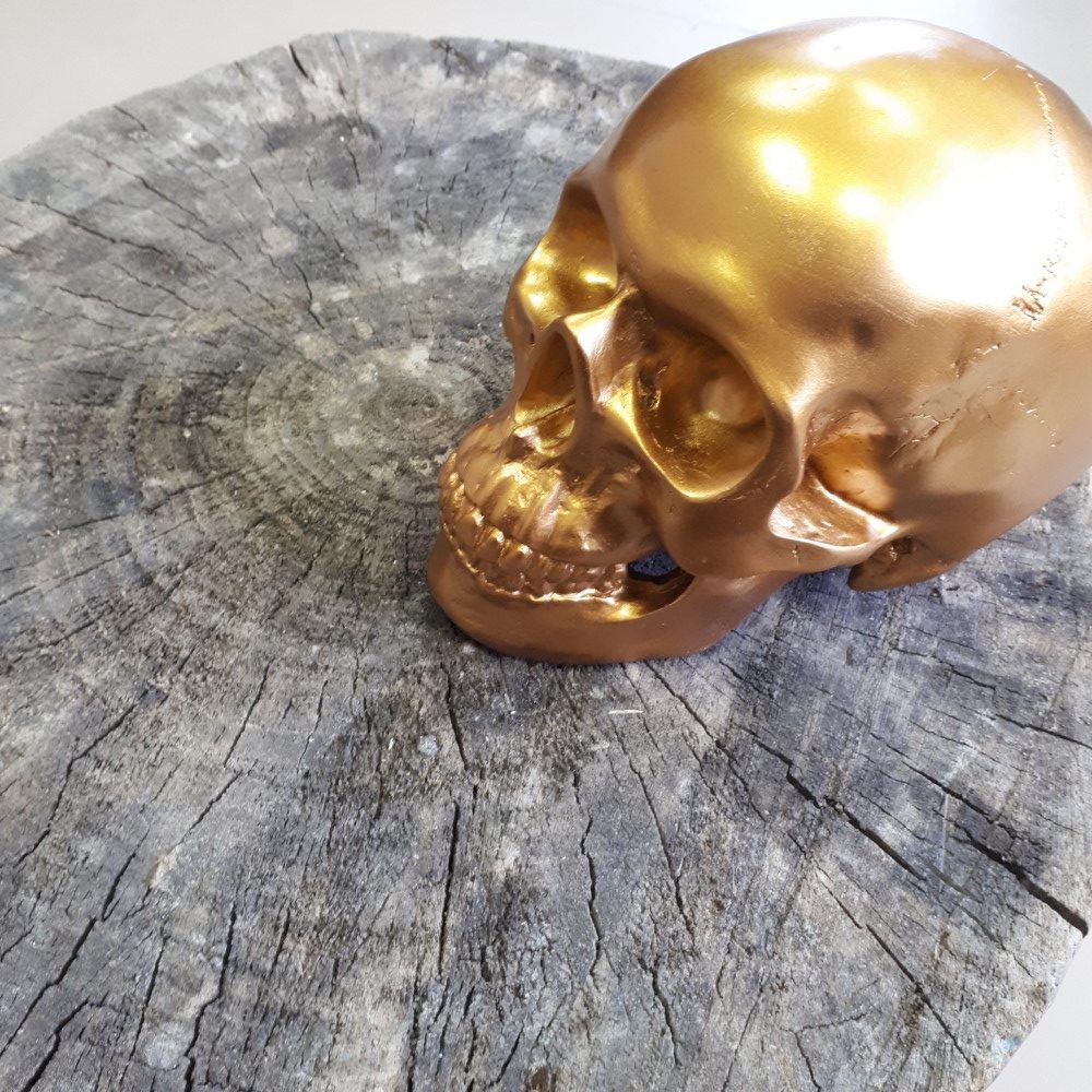 Kaliber Torrent wang Spaarpot gouden schedel – Houtkoorts