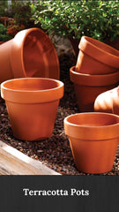 terracotta pots