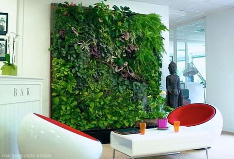 Idea de decoración de pared de plantas