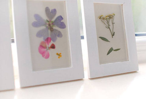 Pressed flowers