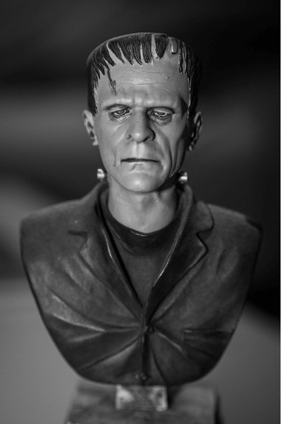 Franken Rig - A Bust of Frankenstein Representing a Shoulder Rig Pieced Together From Different Parts
