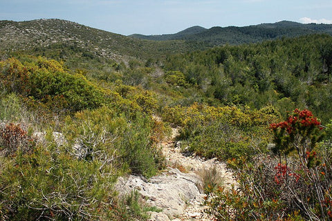 Parc Natural del Garraf 