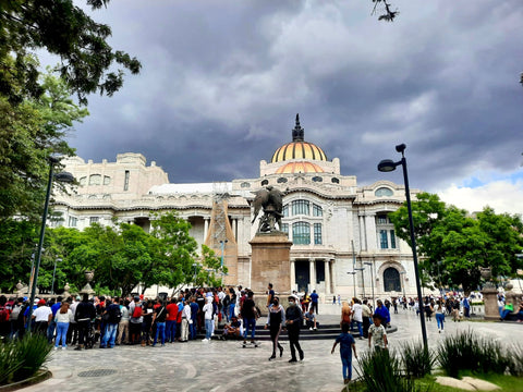 Museo de Bellas Artes