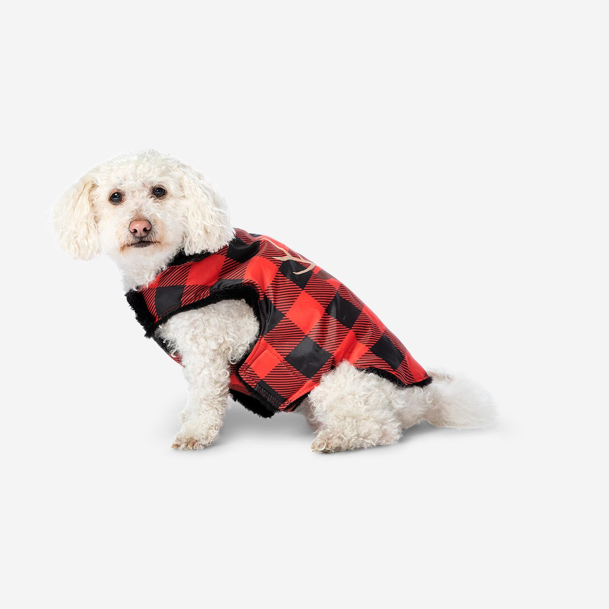 plaid dog coat