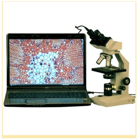 40x – 1000x Binocular Biological Compound Microscope