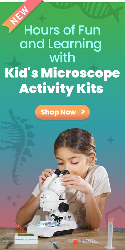 AmScope Kid's and Student Low Power Stereo Microscopes sidebar image