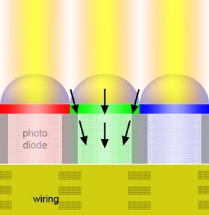 Photoelectric Conversion