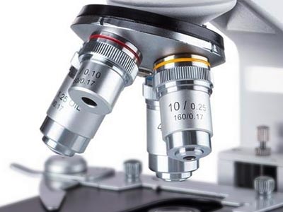 40X-2500X LED Lab Binocular Compound Microscope w/ 3D Stage – AmScope