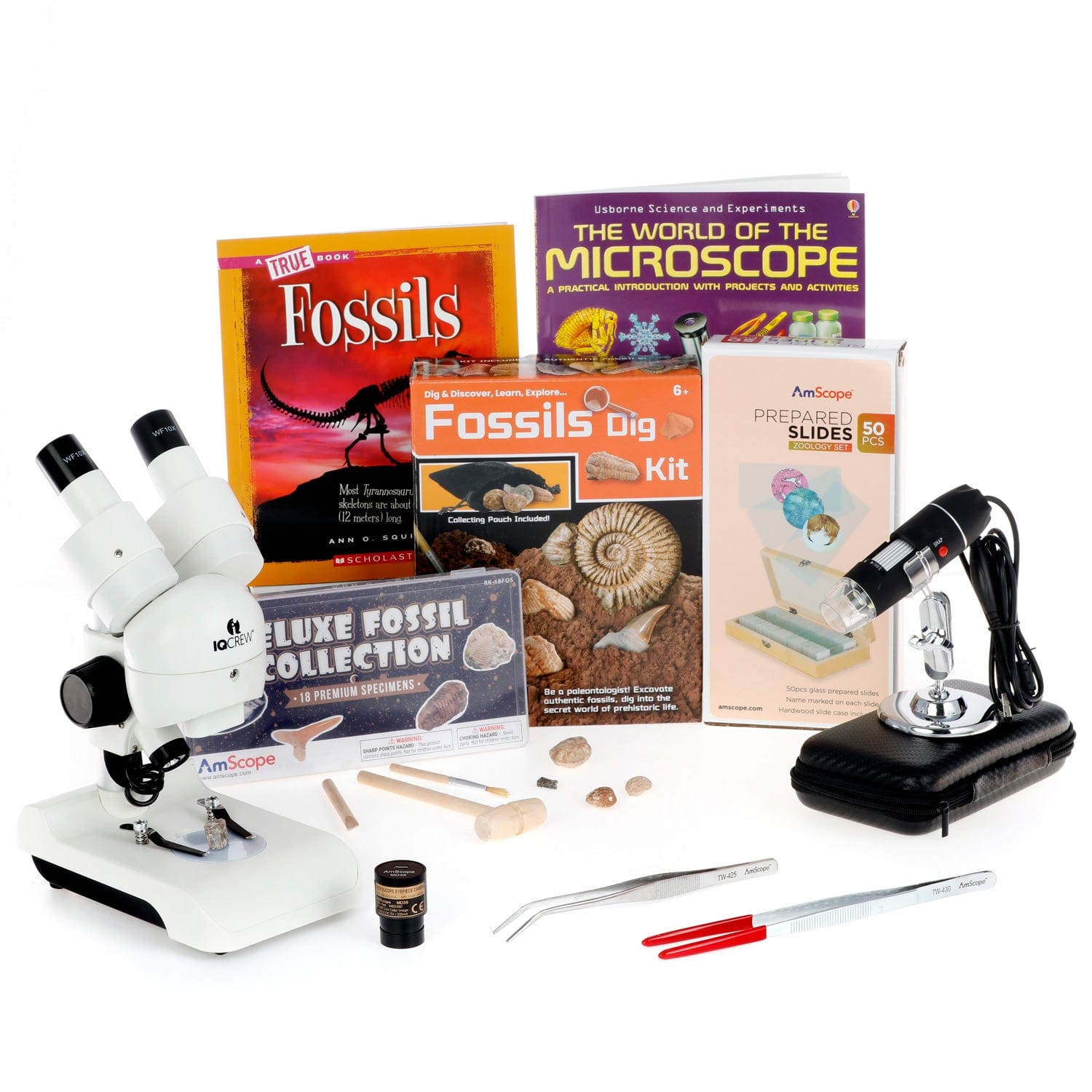 Gold Fossil Dig Kit